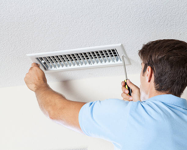 Best Mold Damage Restoration  in Greenville, MI