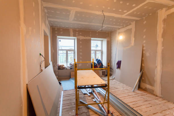  Greenville, MI Mold Removal Pros